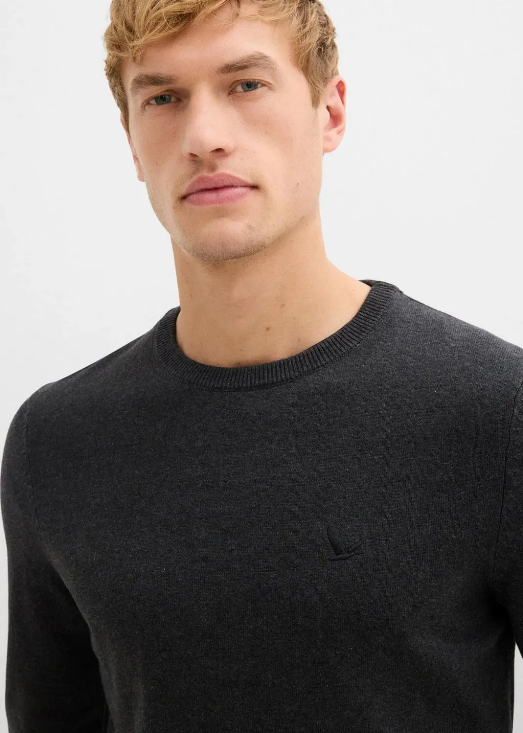 Feinstrickpullover mit reiner Baumwolle Herren Große Größen|Basics