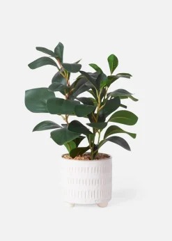 bonprix Wohnaccessoires|Kunstpflanze im Topf