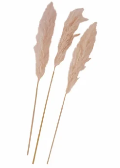 Discount Kunstpflanze Pampasgras (3er Pack) Wohnaccessoires