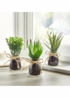 bonprix Sehr Beliebt|Wohnaccessoires|Kunstpflanze Sukkulenten im Glas, 3-tlg. Set