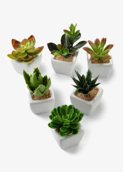 bonprix Wohnaccessoires|Kunstpflanzen in Sukkulenten-Design (6-tlg.Set)